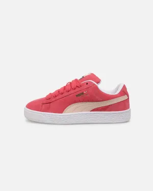 Sport Edge Ventilated Mesh Travel Enthusiasts Puma Suede XL Cherry