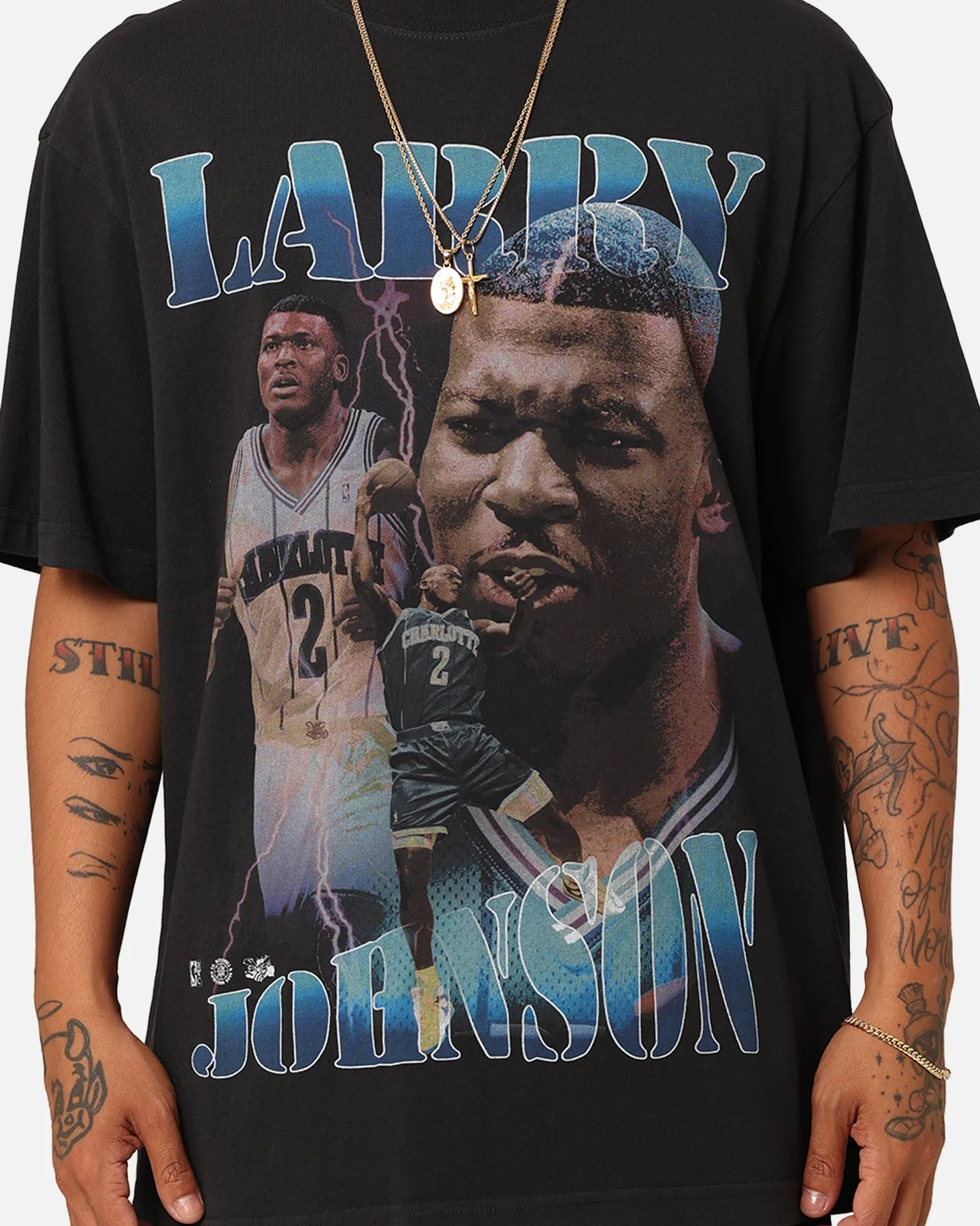 Workout Gear Mitchell & Ness Charlotte Hornets Larry Johnson Player & Stats T-Shirt Black