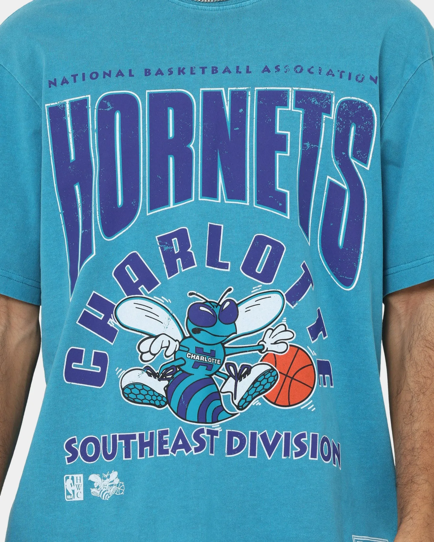 Mitchell & Ness Charlotte Hornets Division Arch T-Shirt Faded Teal Comfy Fit Layer Minimalist Apparel
