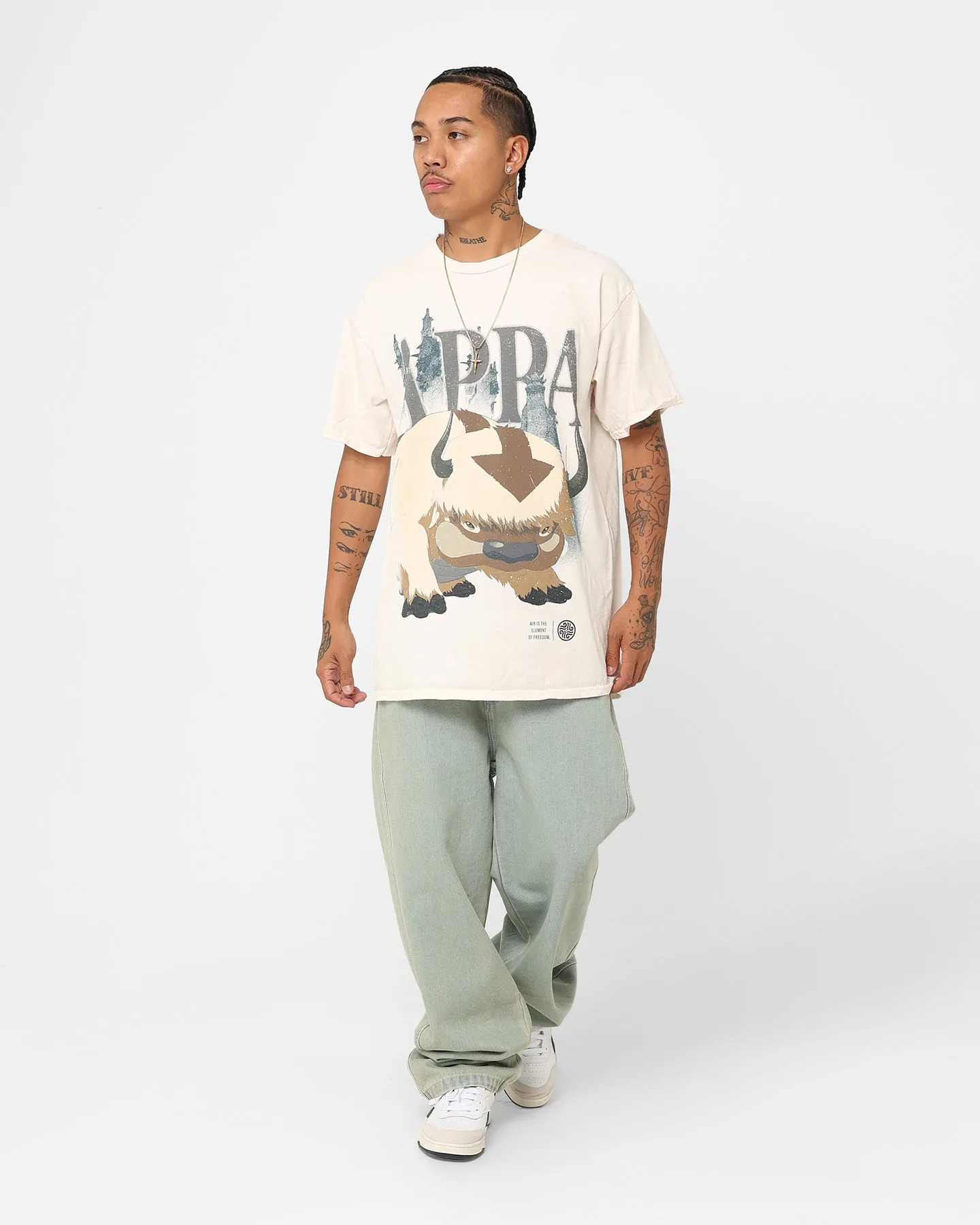 Goat Crew X Avatar: The Last Airbender Appa Vintage T-Shirt Off White AntiBacterialTreatment