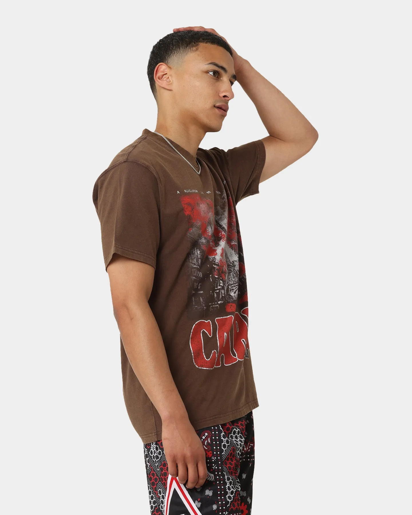 Carr?? Autumn Vintage T-Shirt Washed Brown Eye-Catching