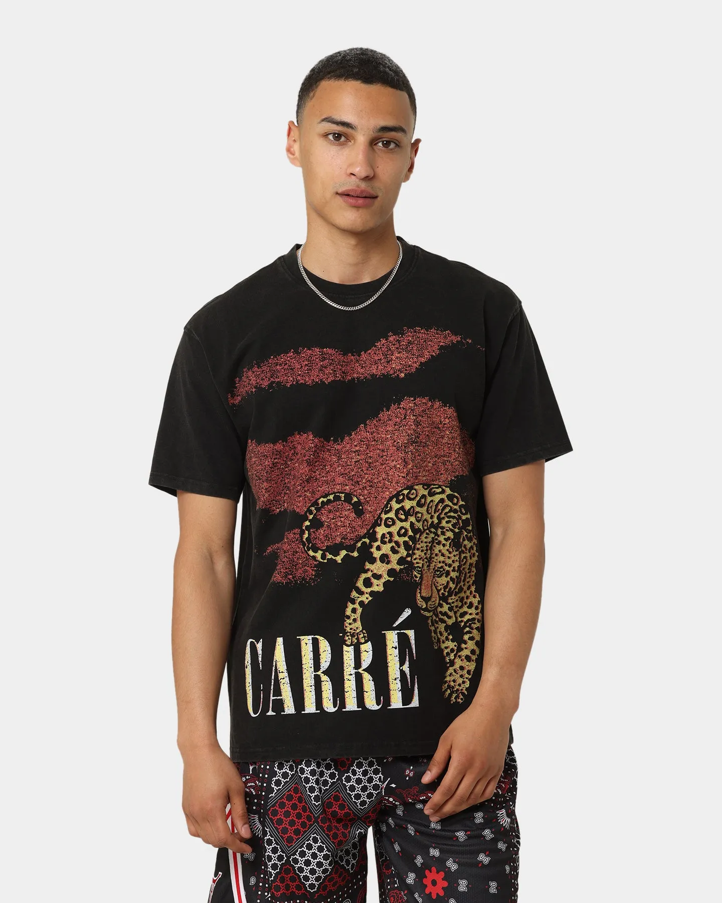Modern Wear Sleek Style Carr?? Leo Vintage T-Shirt Washed Black