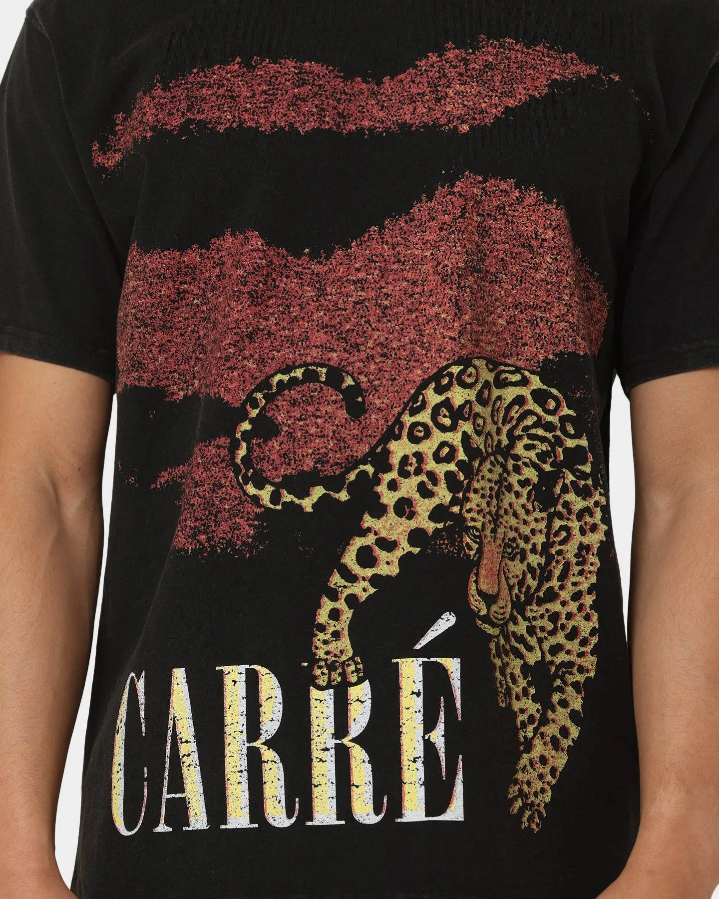 Carr?? Leo Vintage T-Shirt Washed Black EasyCareFinish DurableStitching