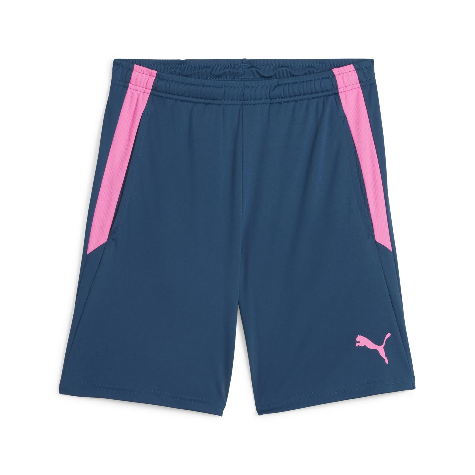 Puma teamLIGA Mens Training Shorts hoodie Stylish Design