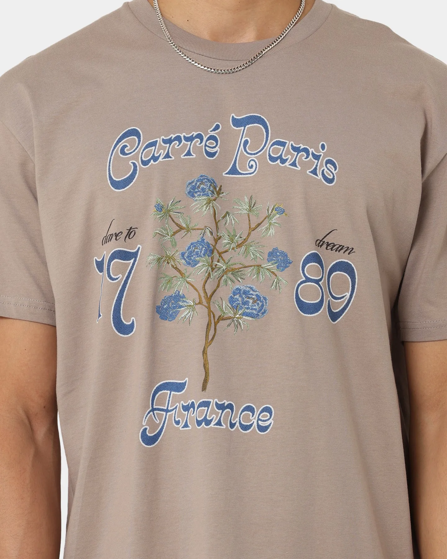 Carr?? Dare To Dream T-Shirt Stone/Stone Stylish Comfort Sublimation Resistant Fabric