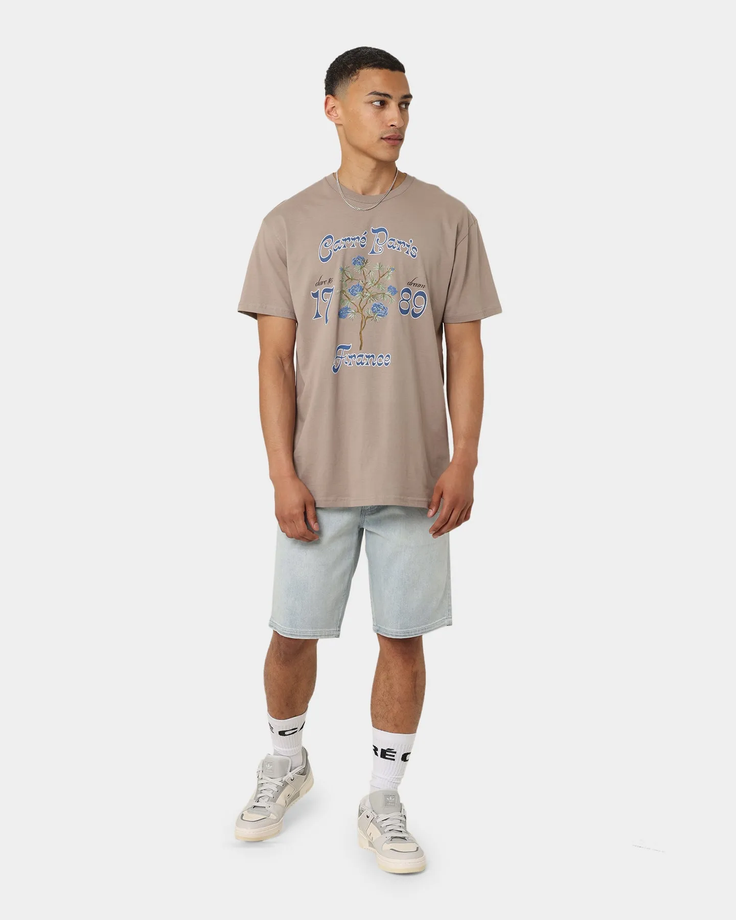 Chic and Cozy Wear Low Impact Dye Carr?? Dare To Dream T-Shirt Stone/Stone