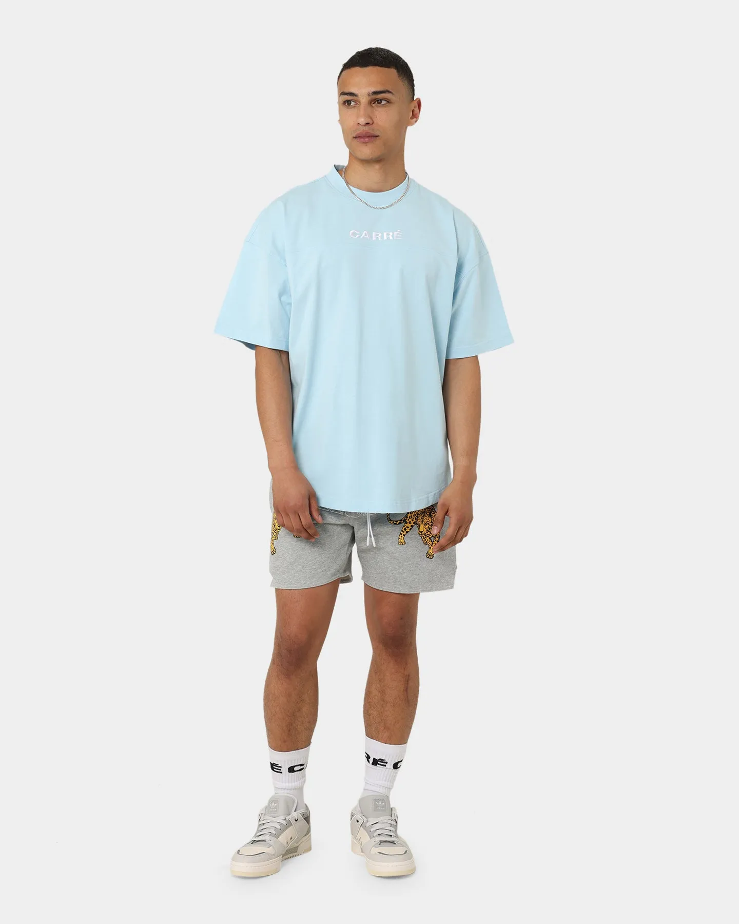 Stretchable Weave timeless Carr?? Grid Iron Oversized T-Shirt Light Blue