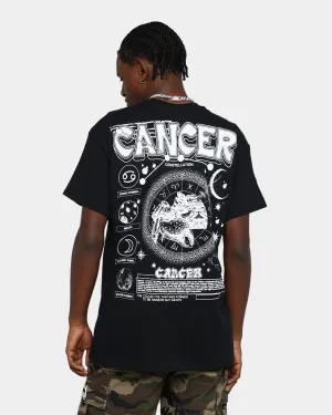 Curved Hemline Chic and Cozy Rats Get Fat Cancer T-Shirt Black