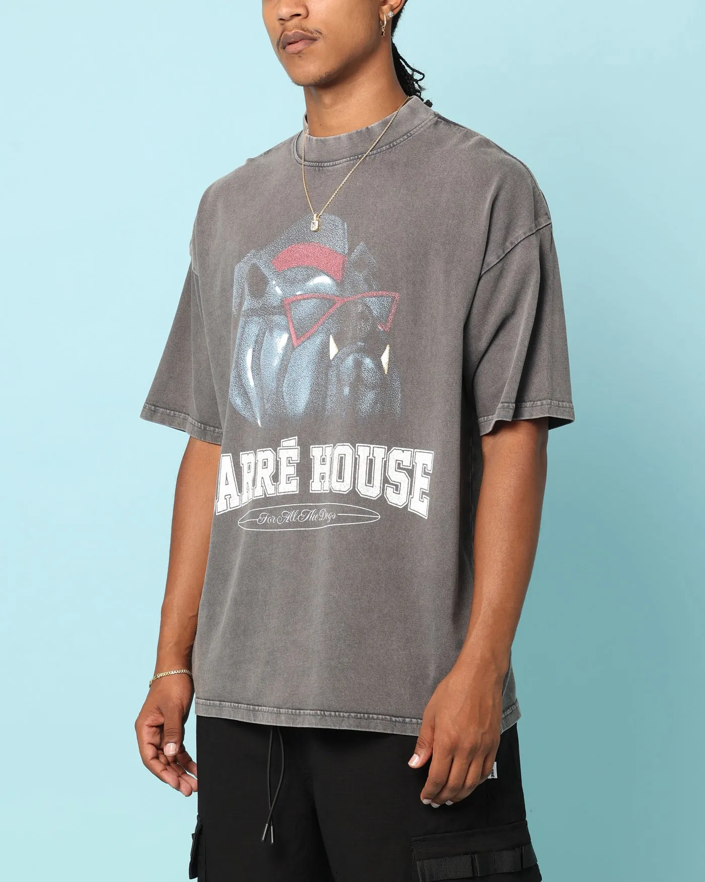 Easy Wear Look Carr?? Dog House T-Shirt Washed Charcoal