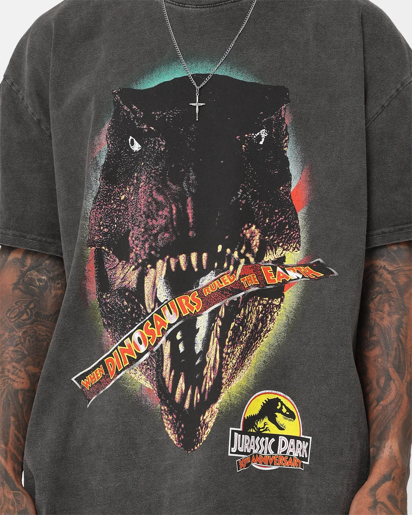 Layering Comfort American Thrift X Jurassic Park 30th Anniversary Heavyweight Vintage T-Shirt Black Wash