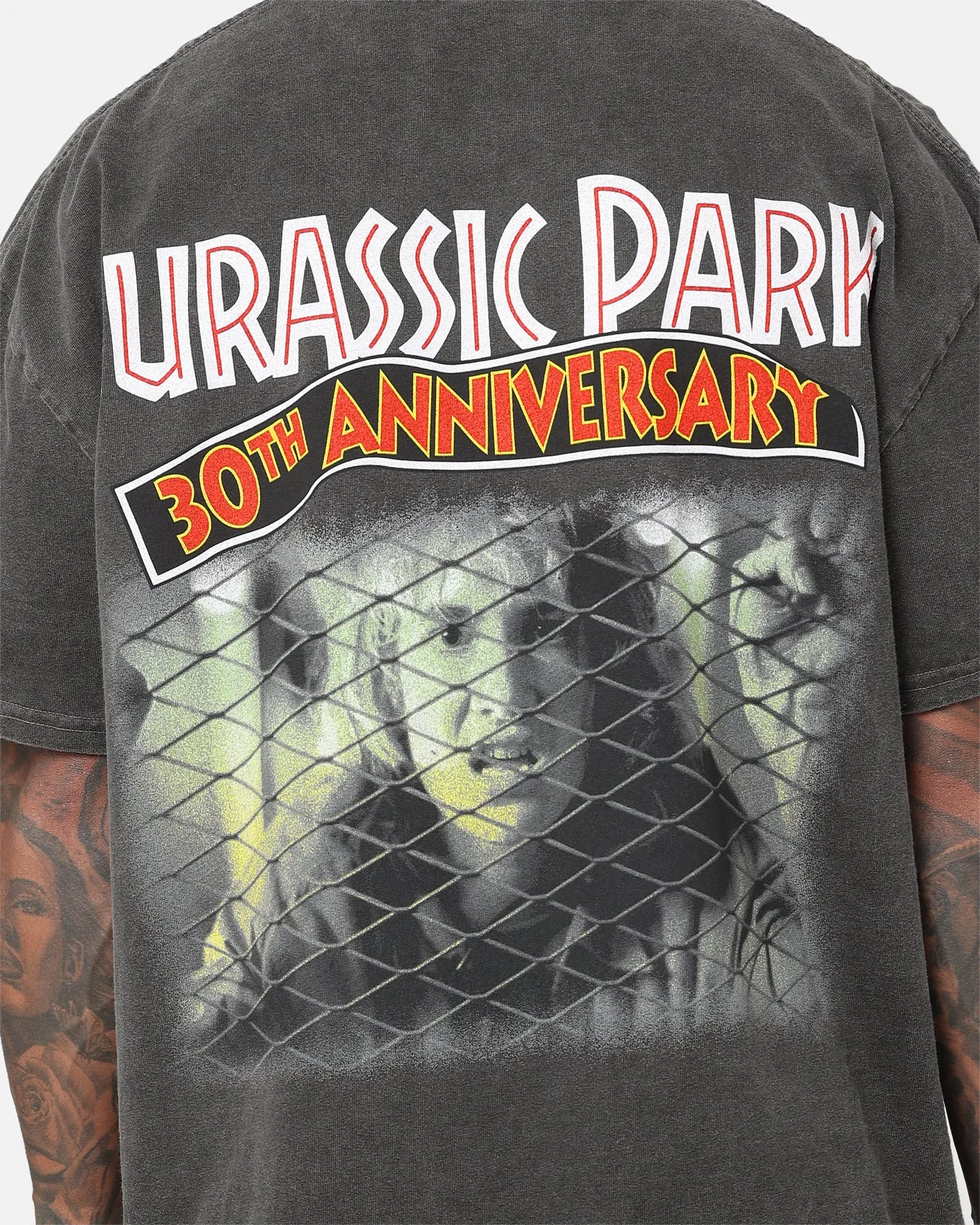 Quick Dry Material American Thrift X Jurassic Park 30th Anniversary Heavyweight Vintage T-Shirt Black Wash