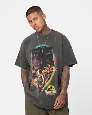 DropShoulderDesign American Thrift X Jurassic Park 30th Anniversary Heavyweight Vintage T-Shirt Black Wash