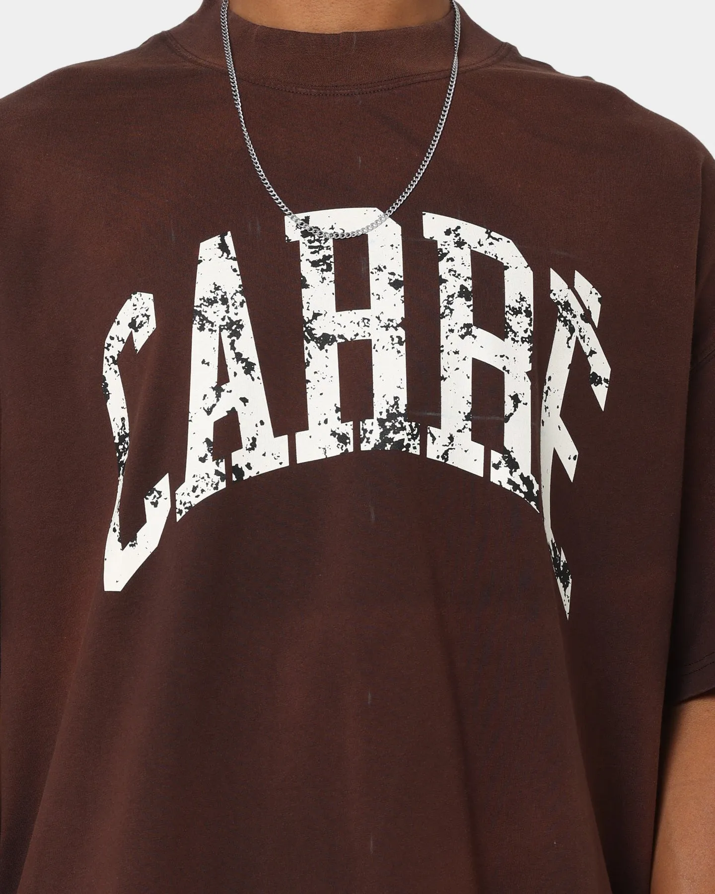 Carr?? Arch Oversized T-Shirt Washed Brown Fashion-Forward Look Active Fashion
